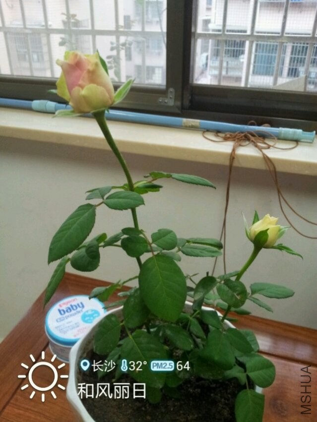 QQͼƬ20140218170653.jpg
