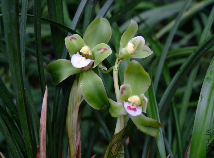 ��Ц�� 2014-2-13 081.jpg