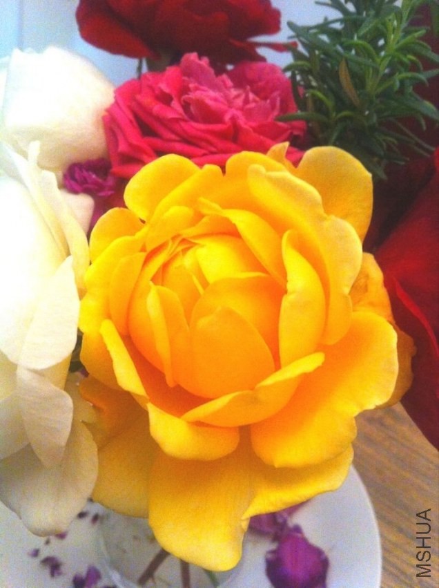 QQͼƬ20140218103852.jpg