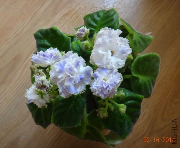 QQͼƬ20140216143451.jpg
