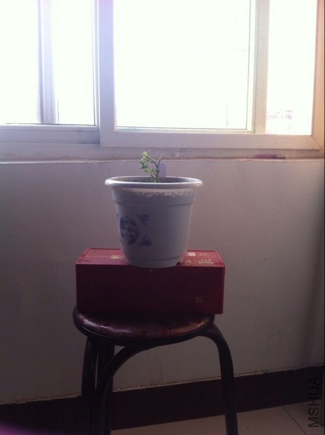 QQͼƬ20140220083847.jpg