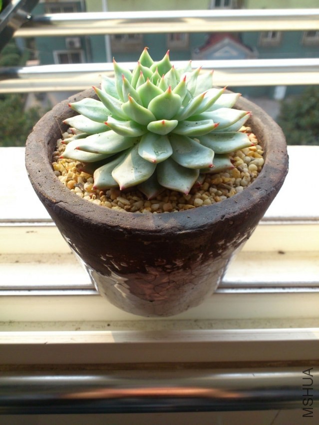 QQͼƬ20140220091434.jpg