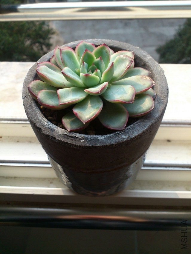 QQͼƬ20140220091441.jpg