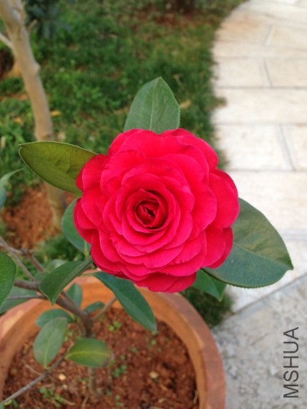 IMG_0678[1] - ����_�༭.jpg