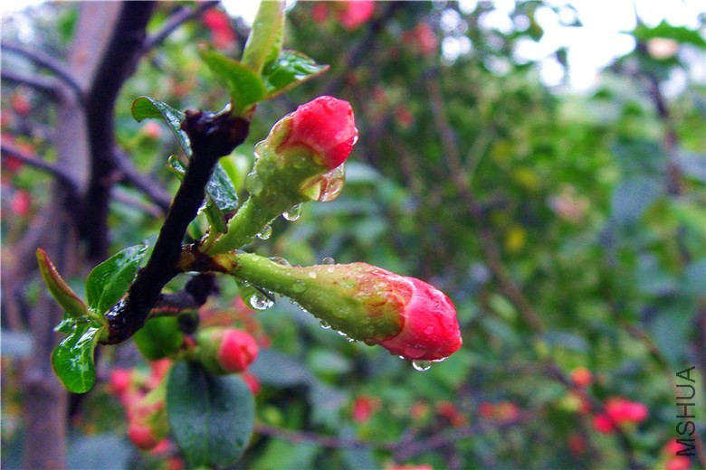 S73F2424.jpg