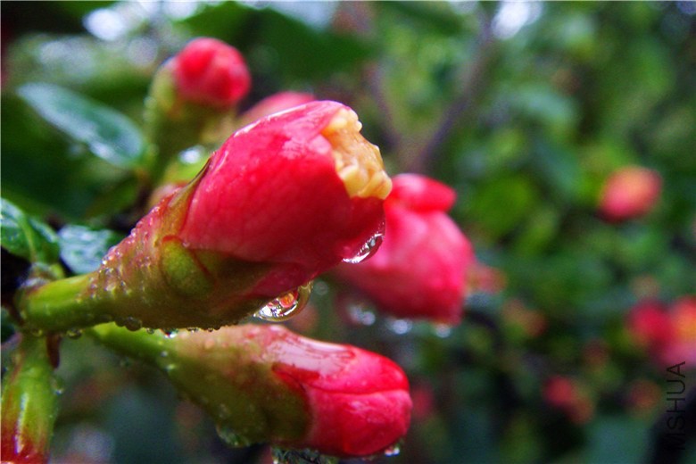 S73F2438.jpg