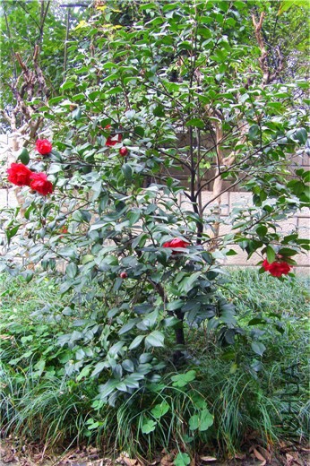 S73F2418.jpg