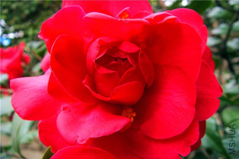 S73F2420.jpg