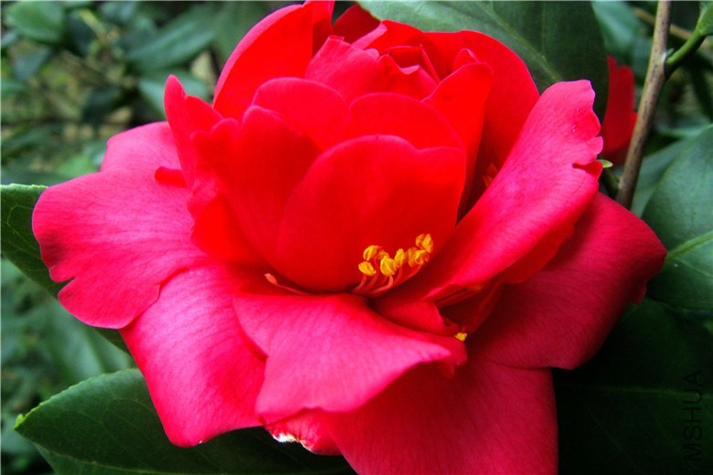 S73F2421.jpg