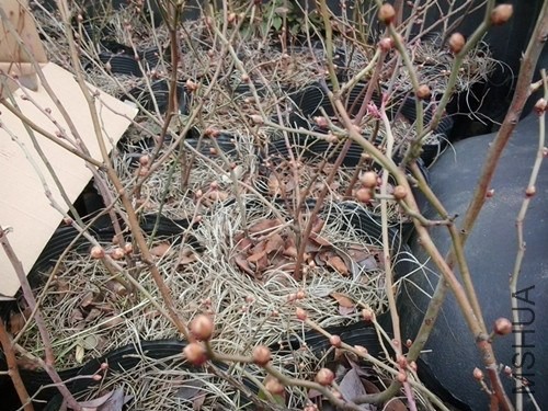 2014-02-20 12.52.01_����.jpg