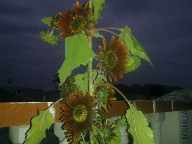 QQͼƬ20140220212718.jpg