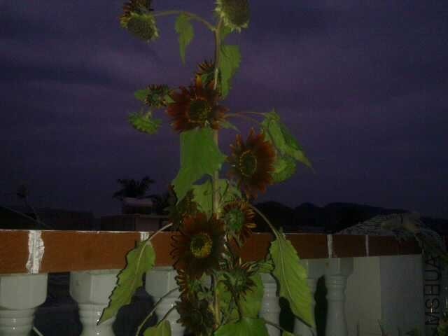 QQͼƬ20140220212724.jpg