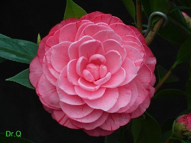 3-�ʳ൤-3.JPG