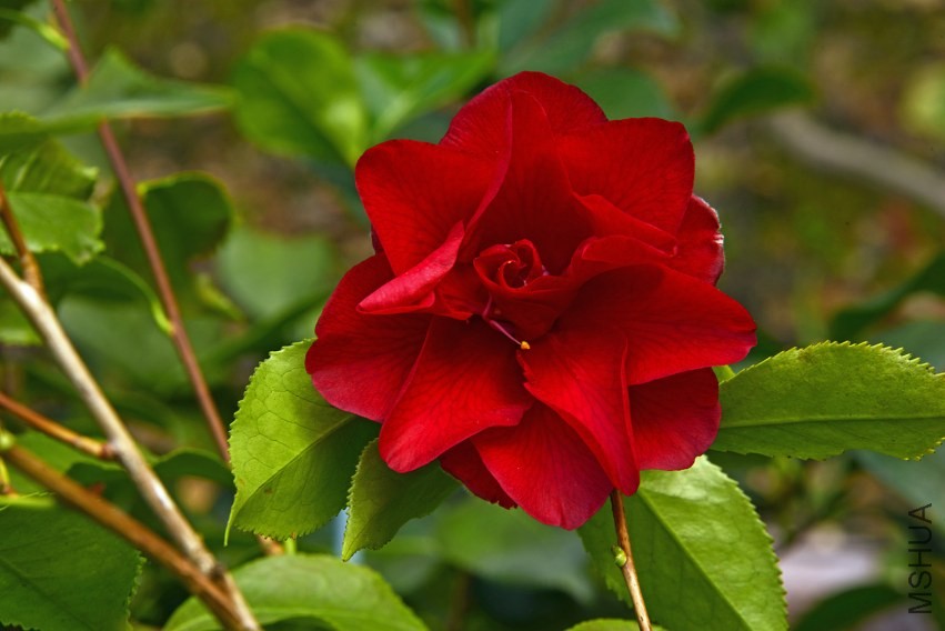 _DSC8730_edited-2.jpg