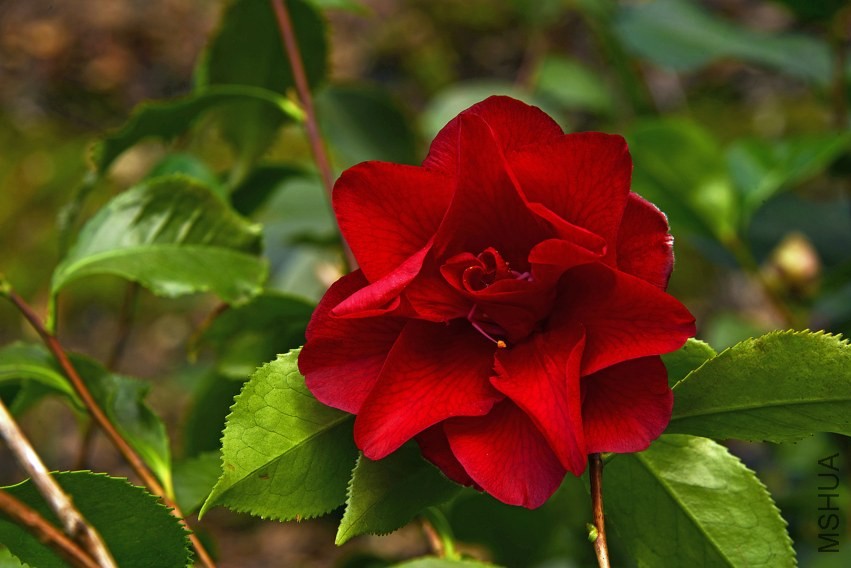 _DSC8733_edited-3.jpg