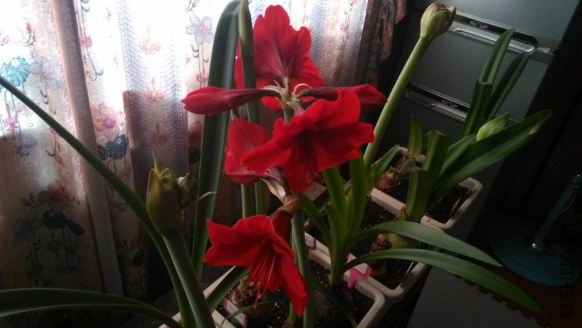 QQ��ͼ005.jpg