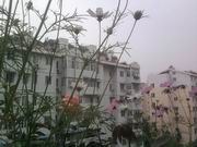 ��Ƭ0226.jpg
