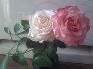 ��Ƭ0239.jpg