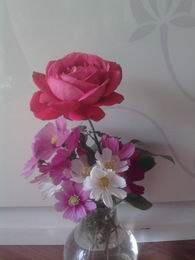 ��Ƭ0237.jpg