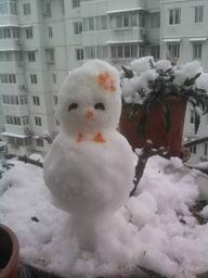 ��Ƭ0240.jpg