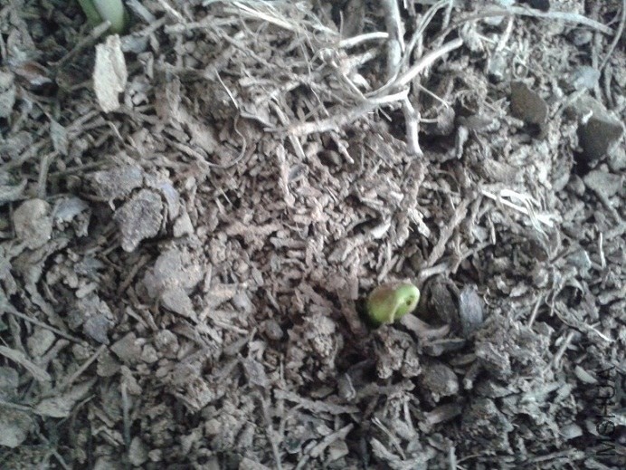 20140221_165450.jpg