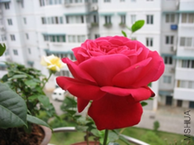 IMG_1552.JPG