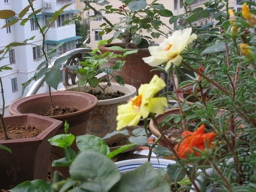 IMG_0002.JPG