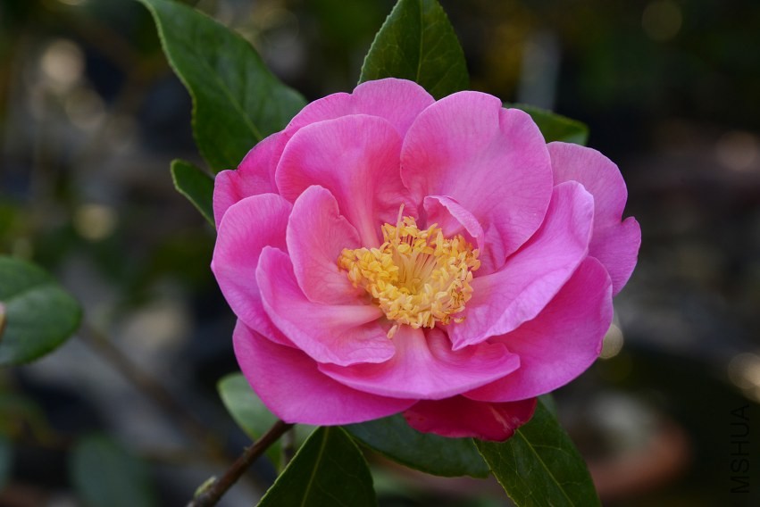 _DSC8770_edited-1.jpg