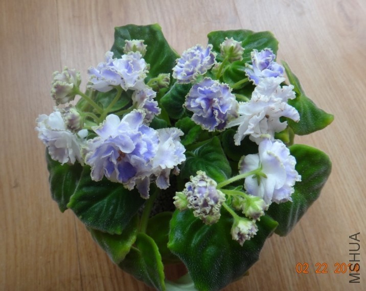 QQͼƬ20140222091349.jpg