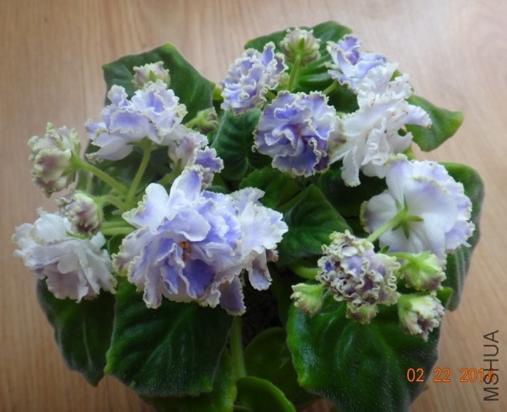 QQͼƬ20140222091358.jpg