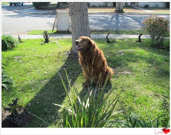 �ҵĻ��� 021_����_����.jpg