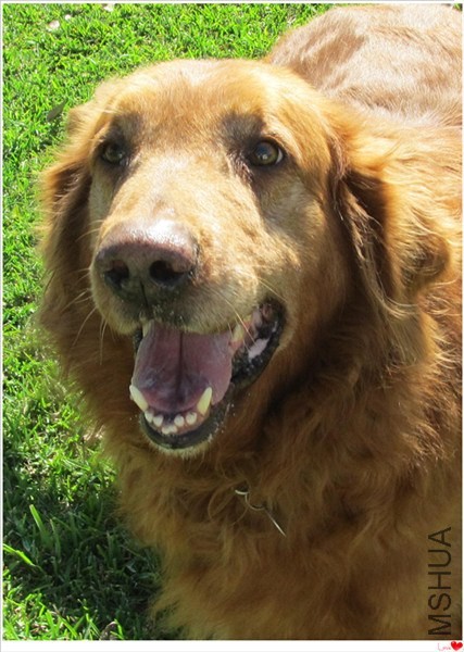 �ҵĻ��� 023_����_����.jpg