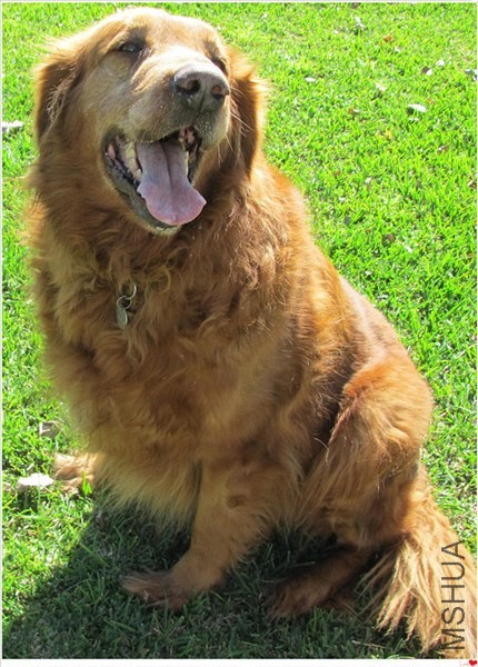 �ҵĻ��� 027_����_����.jpg