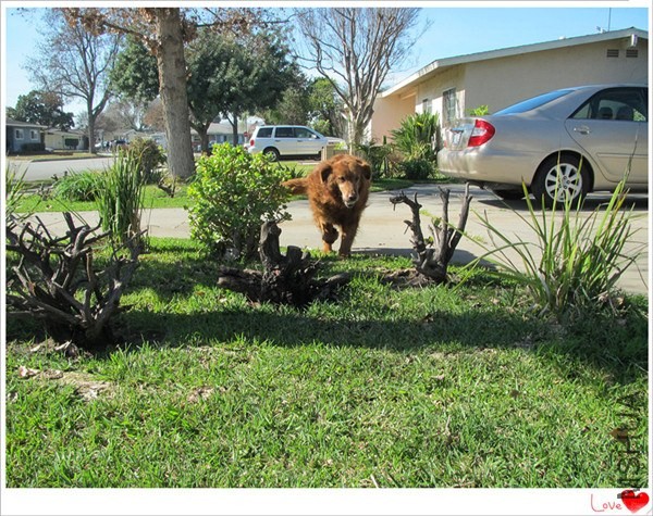 �ҵĻ��� 025_����_����.jpg