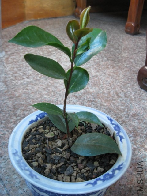 ������ (4).JPG