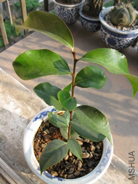 ������ (5).JPG