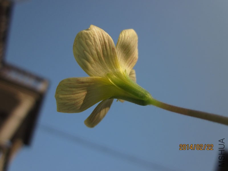 bbsIMG_3049.jpg