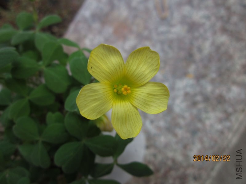 bbsIMG_3048.jpg