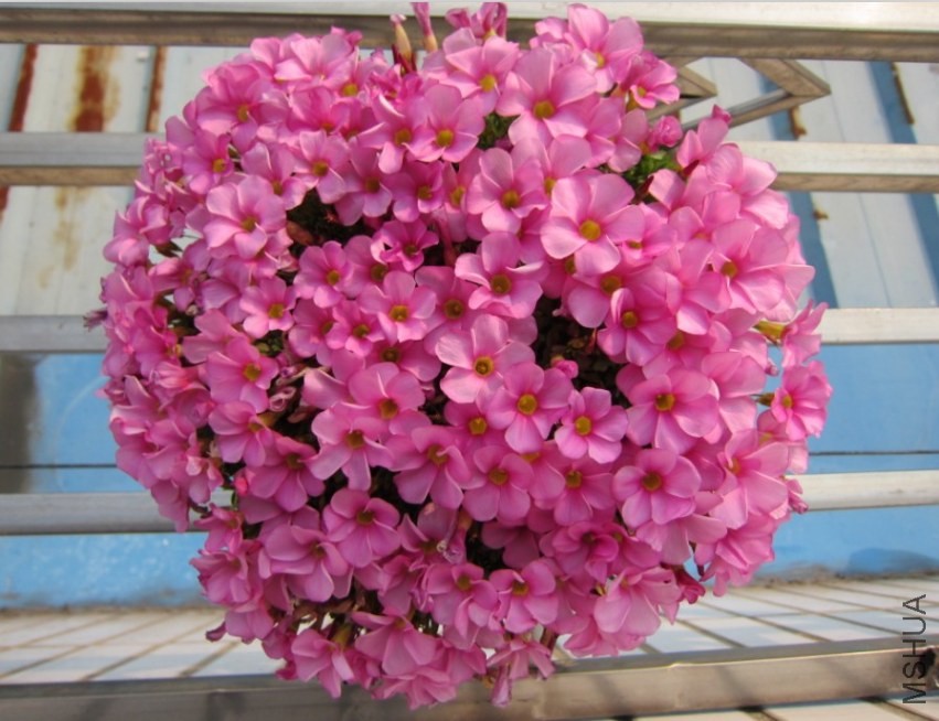 QQͼƬ20140223003945.jpg