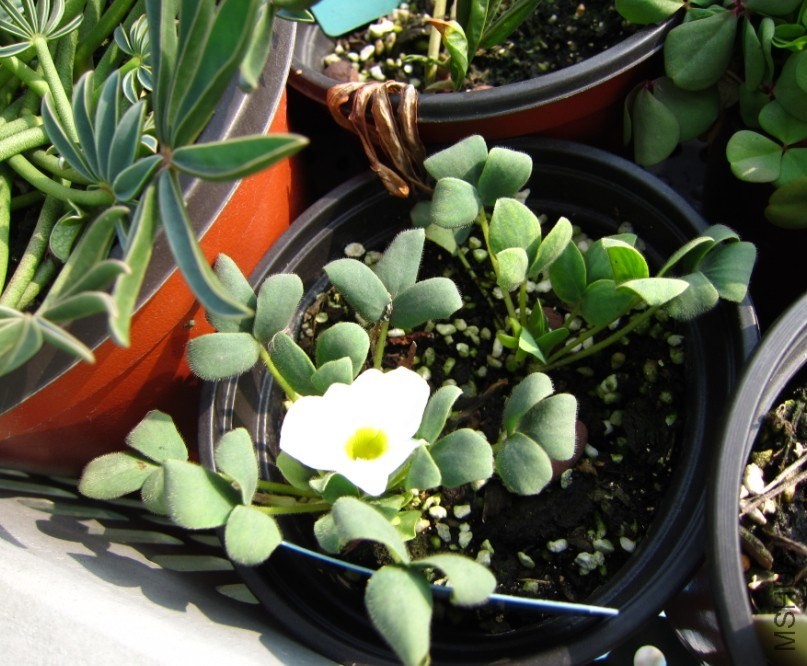 QQͼƬ20140223001400.jpg