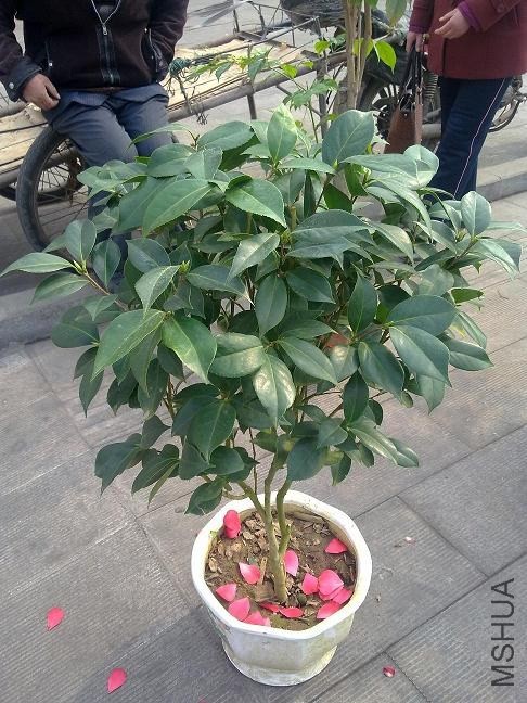 20140223415.jpg
