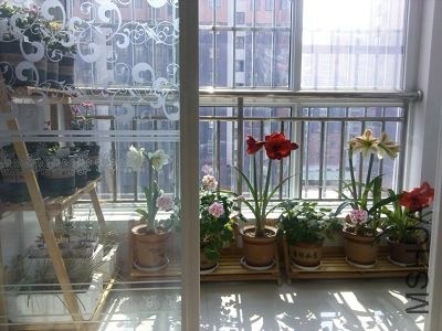 �ҵ���̨ (4).jpg