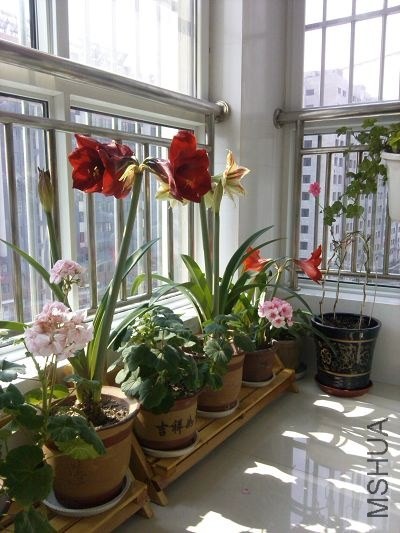 �ҵ���̨ 2.jpg