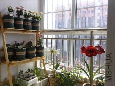 �ҵ���̨ 3.jpg