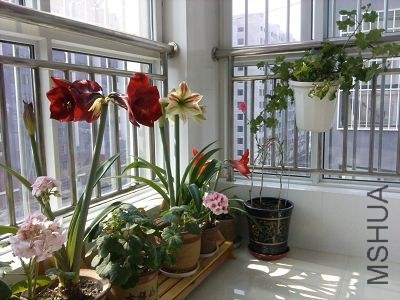 �ҵ���̨ 4.jpg