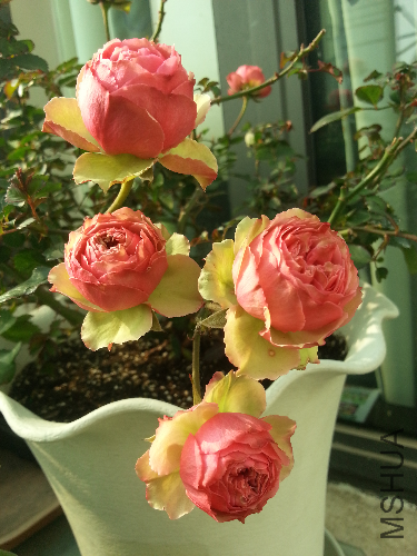 20140223_150454.jpg
