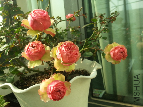 20140223_150534.jpg