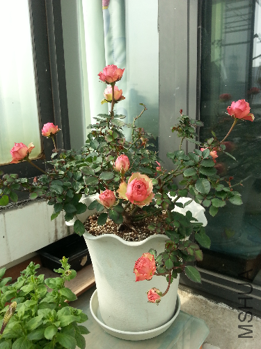 20140222_125331.jpg