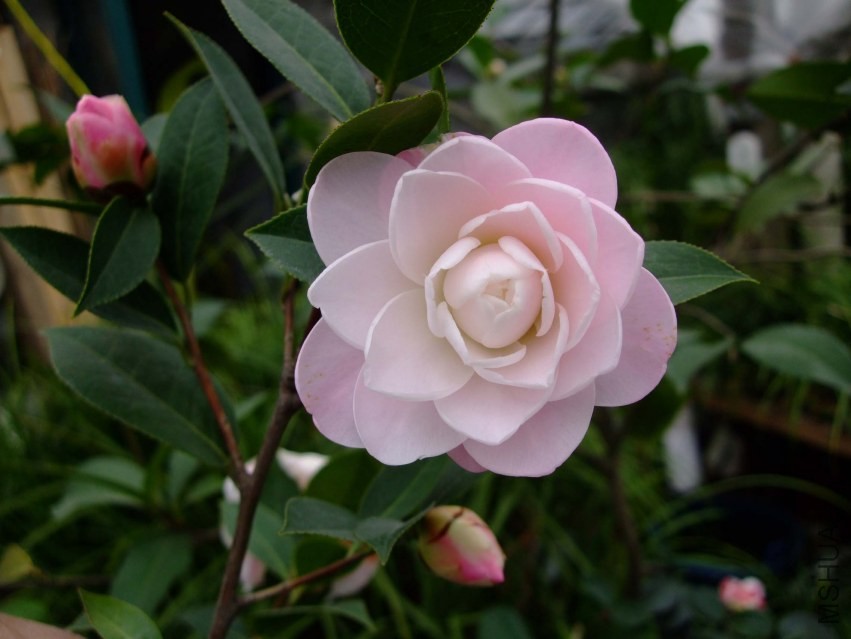 Ʈ�� 2014-2-23 057.jpg