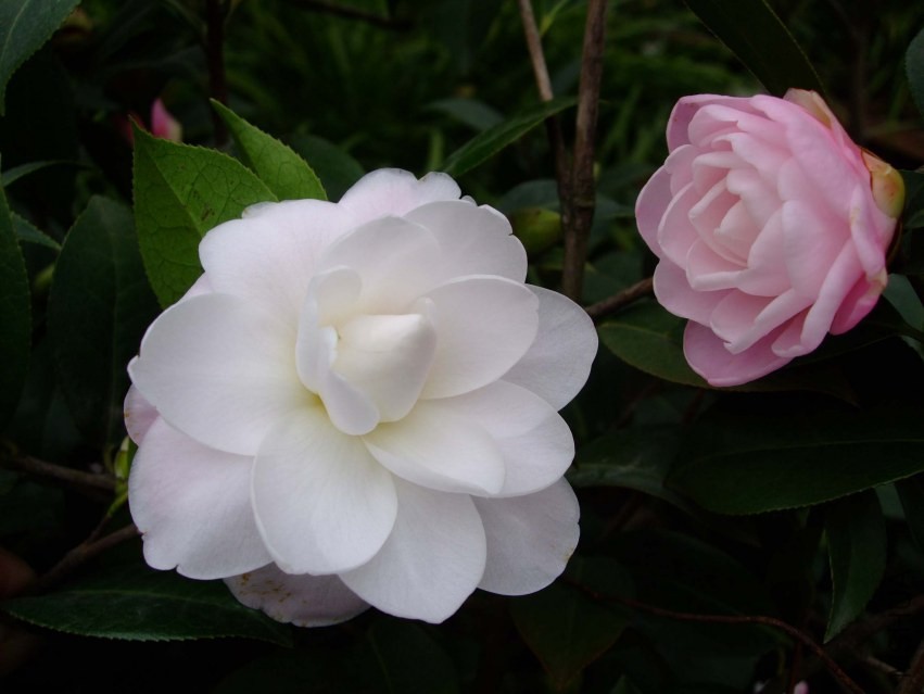Ʈ�� 2014-2-23 056.jpg